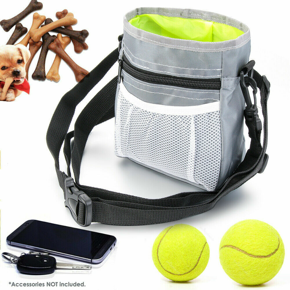 Dog Training Pouch For Treats and Toys